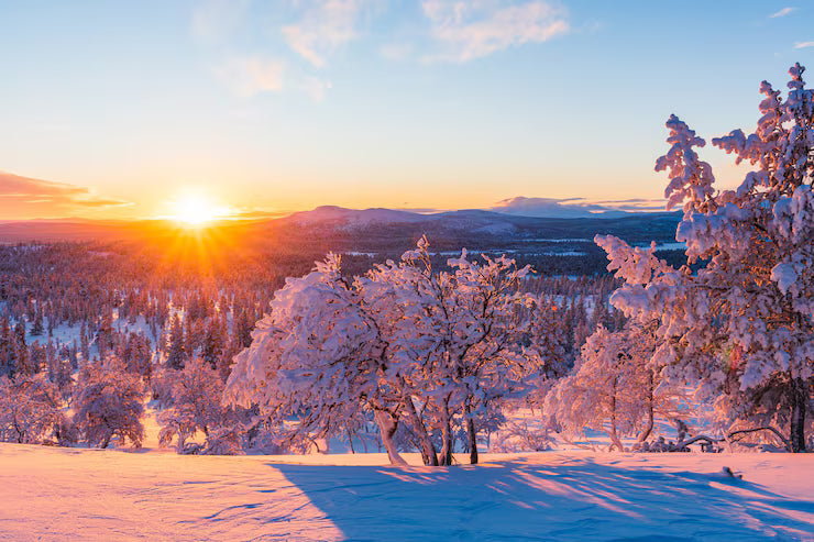 Forged Tools vs Winter — The Real Test