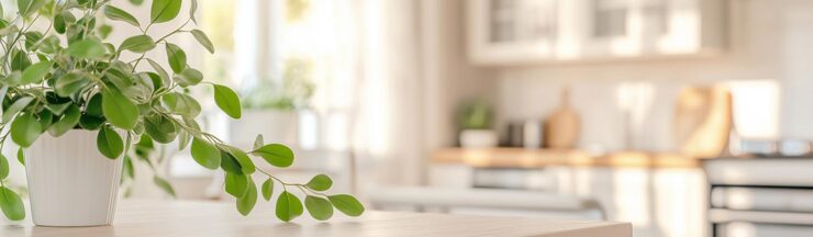 Budget-Friendly Ways to Refresh Your Kitchen Without a Full Remodel