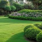 Sustainable Landscaping Trends Shaping the Future of Outdoor Spaces