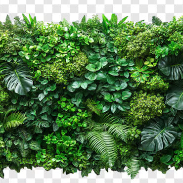 Change Your Garden with Stunning Wall Types