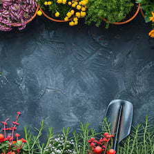 2025 Review: Top US Garden Improvement Searches Last Year