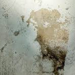 What to Do When You Spot a Nasty Stain on Your Ceiling