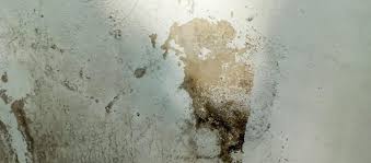 What to Do When You Spot a Nasty Stain on Your Ceiling