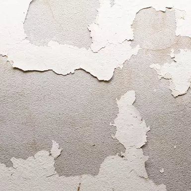 Why Water Damage Is So Common in Atlanta Homes — and How to Prevent and Handle It
