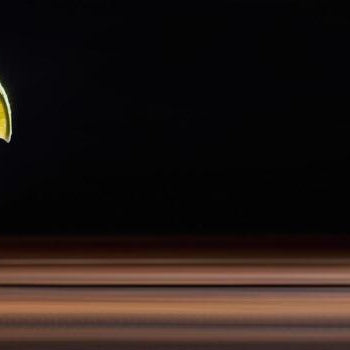 Kanva Botanicals At MIT Therapy—What Makes It The Best In The Market?