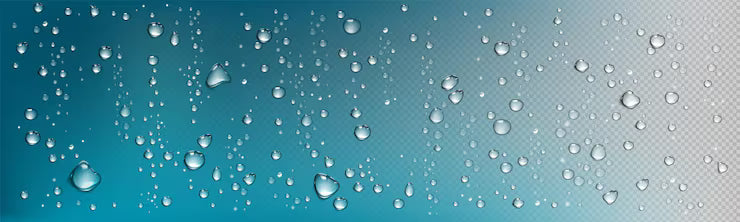 Where Does Your Home Excess Moisture Come From?