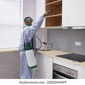 7 Kitchen Cleaning Habits That Prevent Pests