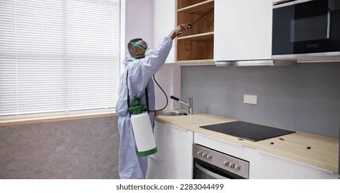 7 Kitchen Cleaning Habits That Prevent Pests