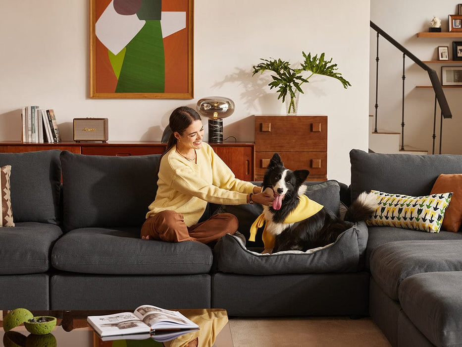 RUBIK V 4 Seats with 2 Ottomans & Pet Bed Module