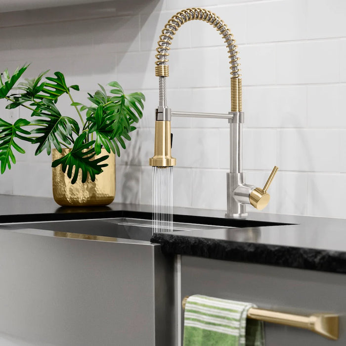 ZLINE Apollo Kitchen Faucet, APL-KF-ZBNCB