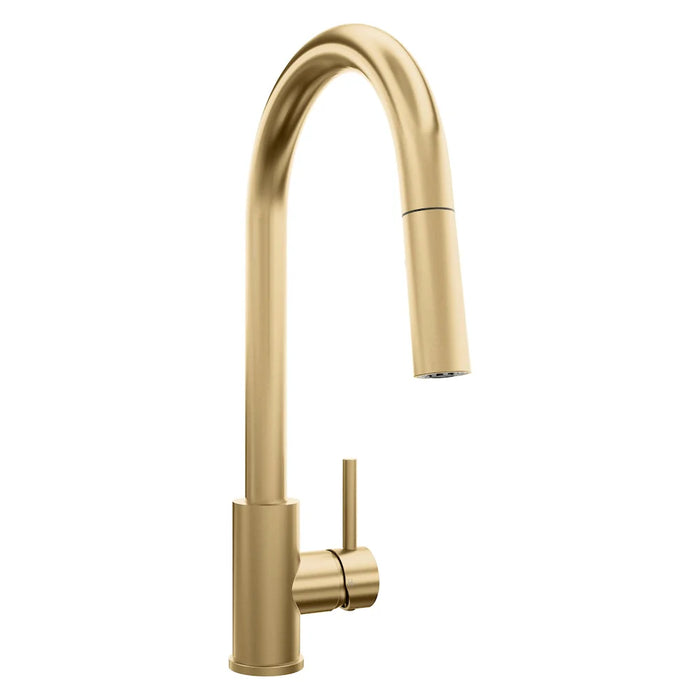 ZLINE Rubicon Pull Down Single Handle Kitchen Faucet, RBCN1-KF-BN
