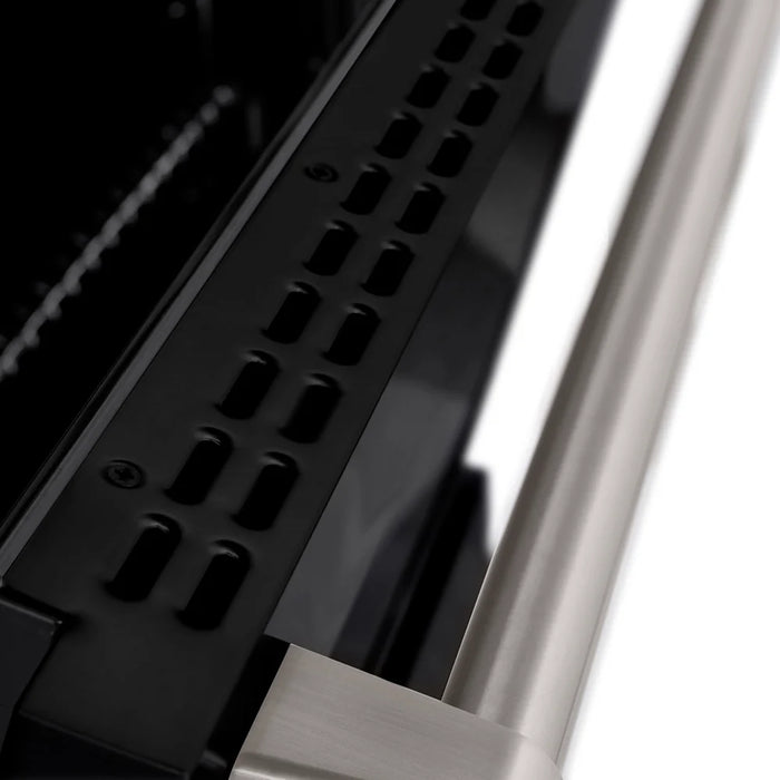 ZLINE 30" Paramount Dual Fuel Range DuoPro™ Cooktop, Electric Convection Oven PSDRS-BLM-30