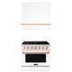 Akicon 36" Stainless Steel Range Hood with 600 CFM Insert & 6-Burner Gas Range Combo – Powerful Ventilation, Convection Oven, Multiple Finishes — AK-HS36HA-SWN & AK-JK36A1-WS