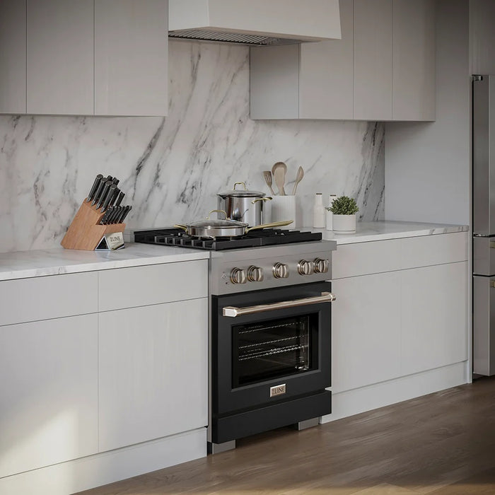 ZLINE 30" Paramount Dual Fuel Range DuoPro™ Cooktop, Electric Convection Oven PSDRS-BLM-30