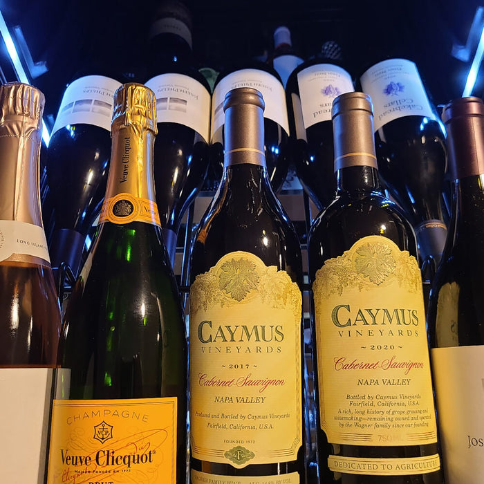 XO 24" Tall Dual Zone Wine Column Refrigerator, XOU2470WDZGB