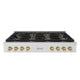ZLINE 48" Paramount Gas Rangetop DuoPro™ Cooktop PSRTSZ-48-CB