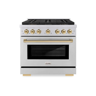 ZLINE 36" Paramount Gas Range DuoPro™ Cooktop, Convection Gas Oven PSGRZ-36-G