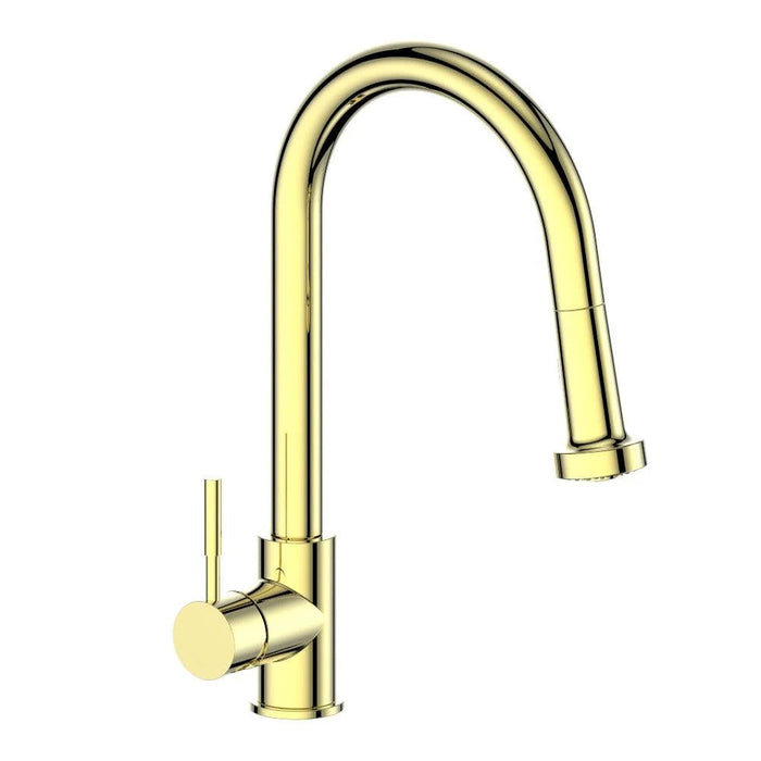 ZLINE Monet Kitchen Faucet, MON-KF-PG