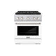 ZLINE 30" Paramount Gas Range DuoPro™ Cooktop, Convection Gas Oven PSGRS-WM-30