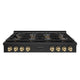 ZLINE 48" Paramount Gas Rangetop DuoPro™ Cooktop PSRTBZ-48-CB