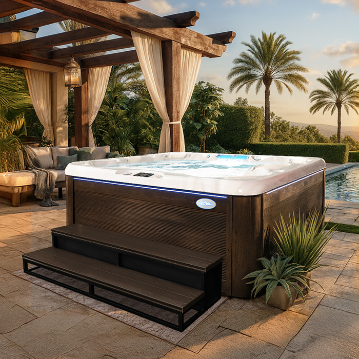 CalSpas Laguna PL-793B