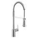 Moen Align Pre-Rinse Spring Kitchen 3 In 1 Water Filtration Faucet F5923