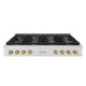 ZLINE 48" Paramount Gas Rangetop DuoPro™ Cooktop PSRTSZ-48-G
