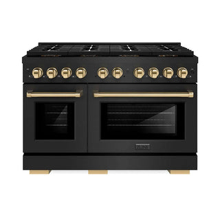 ZLINE 48" Paramount Dual Fuel Range DuoPro™ Cooktop, Dual Ovens PSDRBZ-48-G