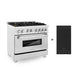 ZLINE 36" Dual Fuel Range, DuraSnow, Stainless, Brass Burners, Griddle RAS-SN-BR-GR-36