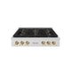 ZLINE 36" Paramount Gas Rangetop DuoPro™ Cooktop PSRTSZ-36-G