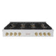 ZLINE 48" Paramount Gas Rangetop DuoPro™ Cooktop PSRTZ-48-CB