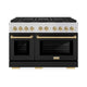 ZLINE 48" Paramount Dual Fuel Range DuoPro™ Cooktop, Dual Ovens PSDRZ-BLM-48-CB
