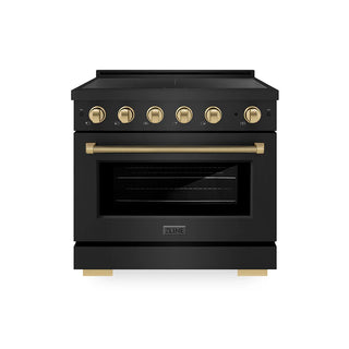 ZLINE 36" Paramount Induction Range, Cooktop, Electric Convection Oven, Accents, Helix Handle and knobs SINRBZ-36 (Copy)