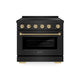 ZLINE 36" Paramount Induction Range, Cooktop, Electric Convection Oven, Accents, Helix Handle and knobs SINRBZ-36 (Copy)