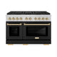 ZLINE 48" Paramount Dual Fuel Range DuoPro™ Cooktop, Dual Ovens PSDRZ-BLM-48-G