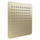 ZLINE Bliss 8" Shower Head in Champagne Bronze BLS-H8-CB 