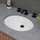 ALFI brand White 23" Oval Undermount Ceramic Sink ABC602