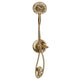 Delta Linden Monitor 17 Series Tub and Shower Trim, In2ition T17494-I