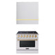 Akicon 36" Stainless Steel Range Hood with 600 CFM Insert & 6-Burner Gas Range Combo – Powerful Ventilation, Convection Oven, Multiple Finishes — AK-HS36HA-BSG & AK-JK36A1-WS