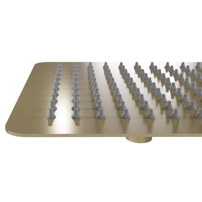 ZLINE Bliss 8" Shower Head in Champagne Bronze BLS-H8-CB 