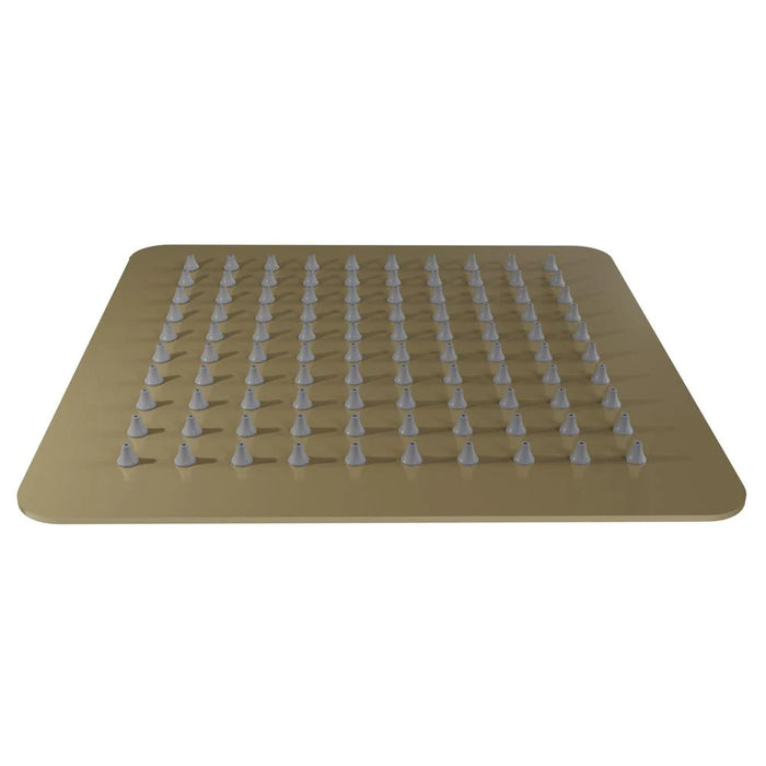 ZLINE Bliss 8" Shower Head in Champagne Bronze BLS-H8-CB 