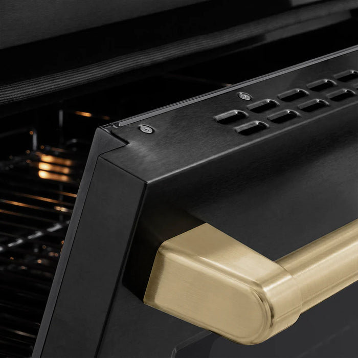 ZLINE 24" Paramount Induction Range, Cooktop, Electric Convection Oven, Accents SINRBZ-24