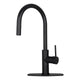 Matte Black Pull Out Kitchen Faucet with Deck Plate, Single Level Solid Brass Kitchen Sink Faucets with Pull Down Sprayer — AK96416-MB