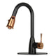 Two-Tone Matte Black & Rose Gold Pull Out Kitchen Faucet with Deck Plate, Single Level Solid Brass Kitchen Sink Faucets with Pull Down Sprayer — AK96455BLRG