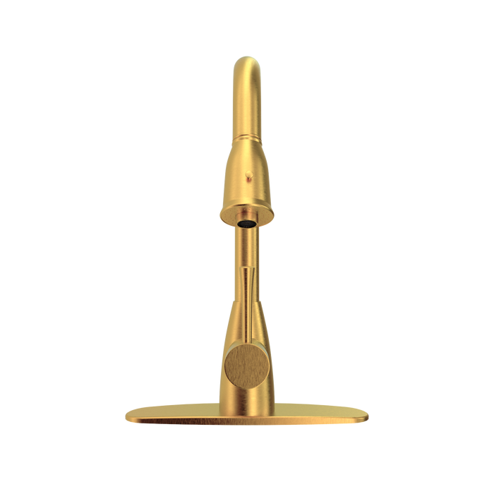 Brushed Gold Pull Out Kitchen Faucet with Deck Plate, Single Level Solid Brass Kitchen Sink Faucets with Pull Down Sprayer - AK455BTG