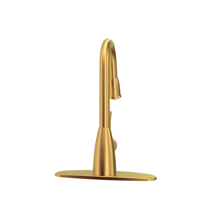 Brushed Gold Pull Out Kitchen Faucet with Deck Plate, Single Level Solid Brass Kitchen Sink Faucets with Pull Down Sprayer - AK455BTG