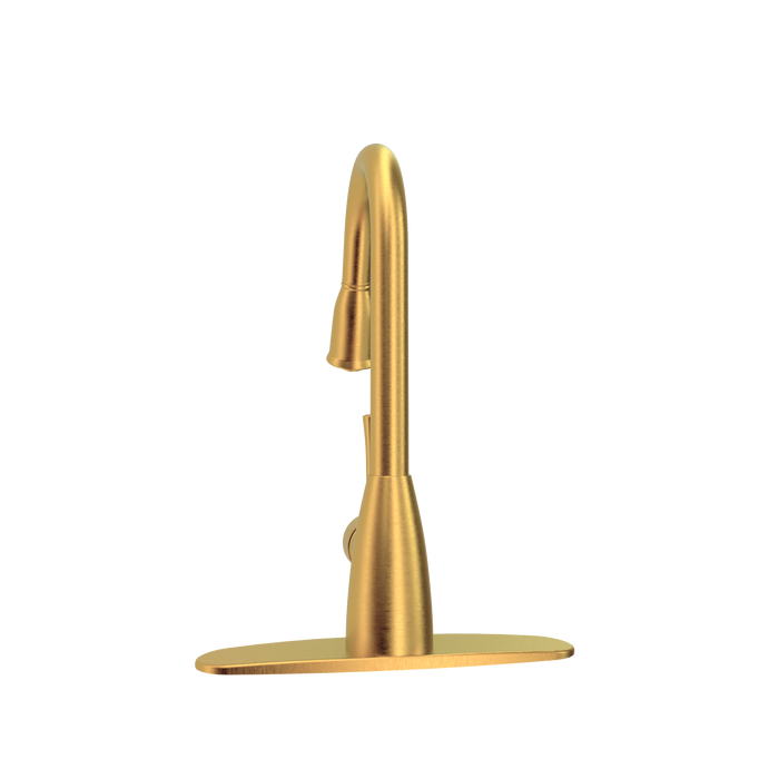 Brushed Gold Pull Out Kitchen Faucet with Deck Plate, Single Level Solid Brass Kitchen Sink Faucets with Pull Down Sprayer - AK455BTG