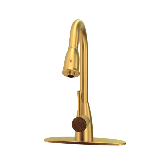 Brushed Gold Pull Out Kitchen Faucet with Deck Plate, Single Level Solid Brass Kitchen Sink Faucets with Pull Down Sprayer - AK455BTG