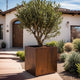 Oversized Corten Steel Cube Planters