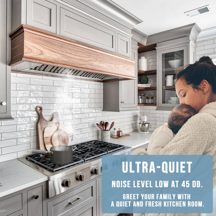 Nauxus 30" Range Hood Insert, Stainless Steel Kitchen Vent Hood with Dimmable LED Lights, 600CFM , NX-E90-30